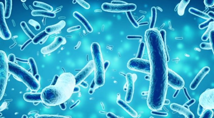 Vendredi 25 avril, à 19h à La Boutique, Voyage extraordinaire au cœur du microbiote, une conférence animée par Marine Cotinat gastro entérologue.