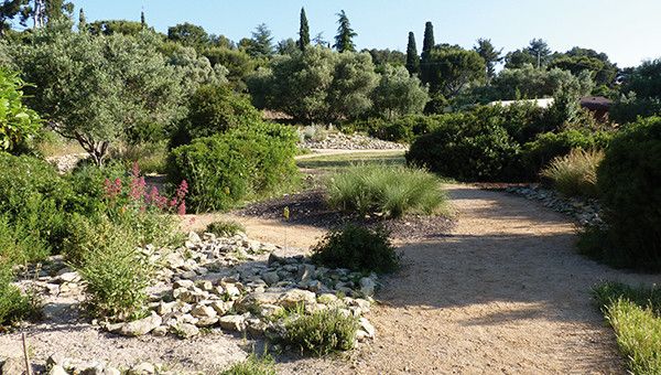 Mercredi 8 avril, à 19h à la Chapelle des Minimes, Regard sur la biodiversité des jardins et des chemins , une conférence proposée par l&rsquo;Esprit en Liberté