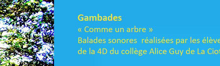 Jeudi 11 juin, à 17h30 devant le collège Alice Guy, Gambades, Comme un arbre, balades sonores réalisées par les élèves de 4è D