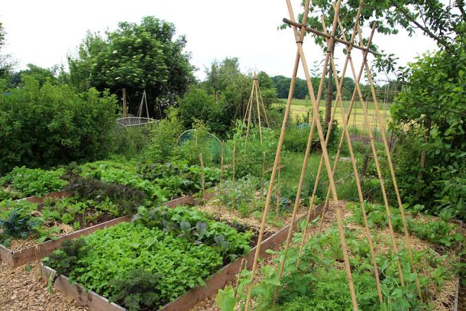 Mercredi 14 octobre, à 19h à la Chapelle des Minimes, Cultiver la ville, le défi de la permaculture urbaine, une conférence de Richard Genevoix, proposée par l&rsquo;Esprit en Liberté